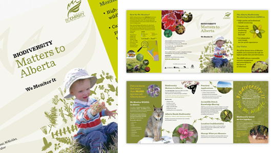 Alberta Biodiversity Monitoring Institute: Gatefold pamphlet design